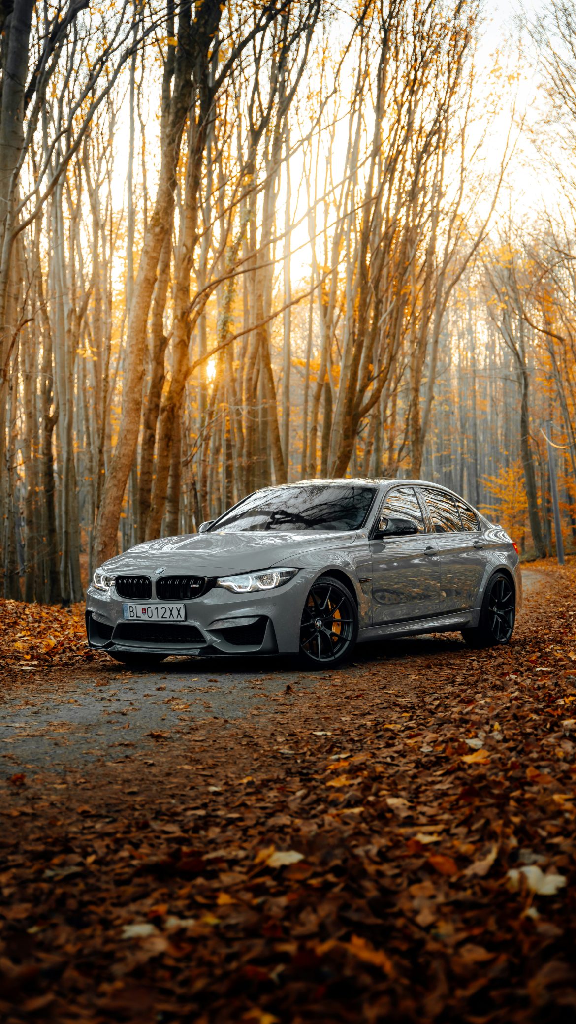 How Genuine BMW Parts Can Improve Your Vehicle’s Performance How Genuine BMW Parts Can Improve Your Vehicle’s Performance
